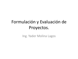 Formulación y Evaluación de Proyectos.