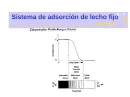Sistema de adsorción de lecho fijo