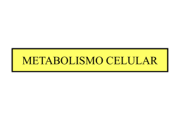 METABOLISMO CELULAR - eGrupos, El último destino
