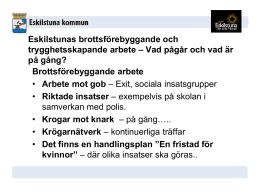 Eskilstunas brottsförebyggande och