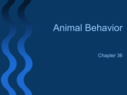 Animal Behavior - Santa Paula High School