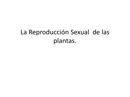 La Reproducción Sexual de las plantas.