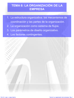 TEMA 6: LA ORGANIZACIÓN DE LA EMPRESA