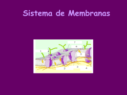Sistema de Membranas