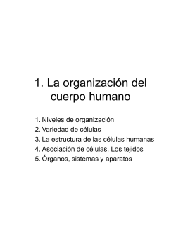 1. La organización del cuerpo humano