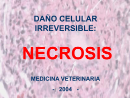 NECROSIS - Franja Morada Veterinaria | FRANJA
