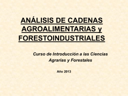 SUBSISTEMAS PRODUCTIVOS : Análisis de Cadenas