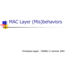 MAC Layer Misbehaviors