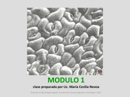 LA CÉLULA