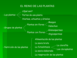Diapositiva 1 - Colegio Público Ermitagaña