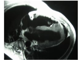 Diapositiva 1