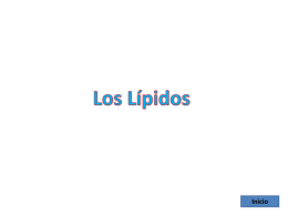 Lípidos - Portal Académico del CCH