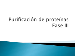 Purificación de proteínas Fase III -