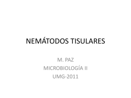 NEMÁTODOS TISULARES - Microinmunoumg`s Blog | Just