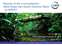 REDD consultation in South America Consuelo