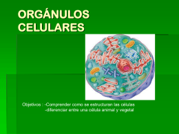 ORGÁNULOS CELULARES