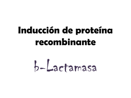 Inducción de proteína recombinante -