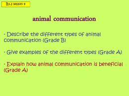 How do animals communicate?
