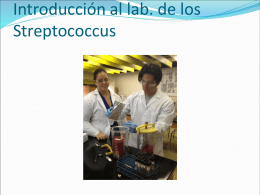 Los Streptococcus - BIO 408: Microbiología