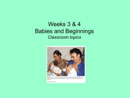 Weeks 3 & 4 Babies and Beginnings