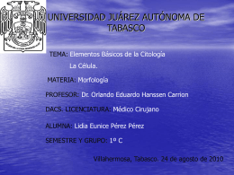 UNIVERSIDAD JUÁREZ AUTÓNOMA DE TABASCO