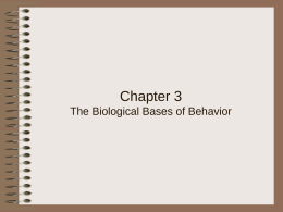 Chapter 3: Biological Bases of Behavior