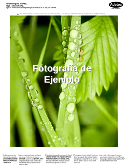Presentación de PowerPoint