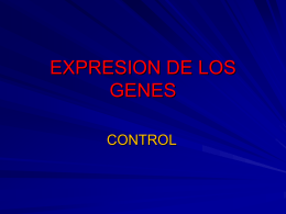 EXPRESION DE LOS GENES