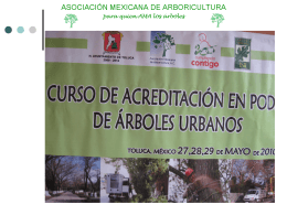 Diapositiva 1 - AMA | Asociación Mexicana de
