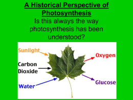 A Historical Perspective of Photosynthesis