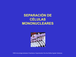 Separación de células mononucleares