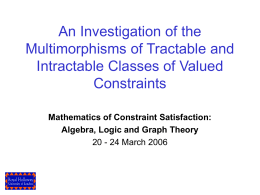 An Investigation of the Multimorphisms of
