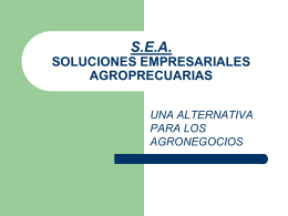 S.E.A. SOLUCIONES EMPRESARIALES AGROPRECUARIAS
