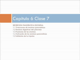 Diapositiva 1 - Fisiologia Básica Aplicada |