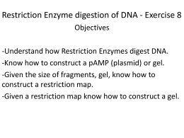 Restriction Enzyme digestion of DNA