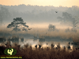 Fotos de la Naturaleza - Presentaciones Power