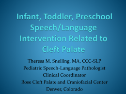 SPEECH THERAPY RELATED TO CLEFT PALATE