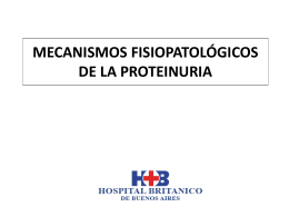 MECANISMOS FISIOPATOLÓGICOS DE LA PROTEINURIA