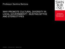 Why promote cultural diversity in local government