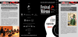 Ciclo Flamenco - Milenio Reino de Granada 2013:1013