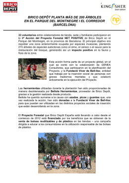 Acción forestal Net Positive de Brico Depôt en Cataluña