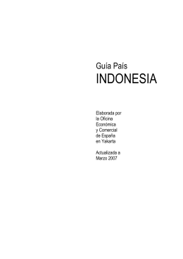 INDONESIA - Comercio.es