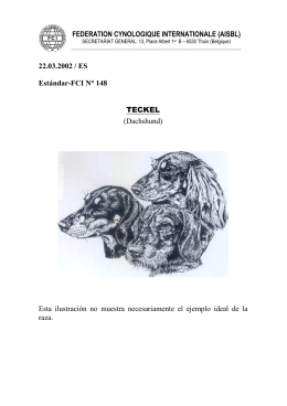 Estándar-FCI N° 148
