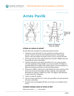 PE409S Pavlik Harness-Spanish