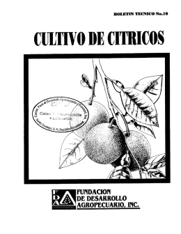 CULTIVO DE CITRICOS