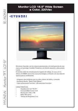 HYUNDAI Monitor TFT, LCD 19” SE-MON19