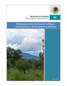 Monografía del Sector Aguacate en México: Situación Actual y
