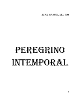 Peregrino intemporal (Libro)