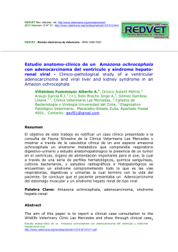 Estudio anatomo-clínico de un Amazona ochrocephala con