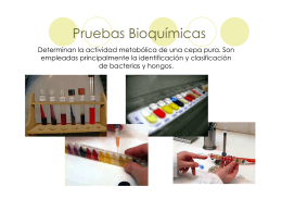 Pruebas Bioquímicas